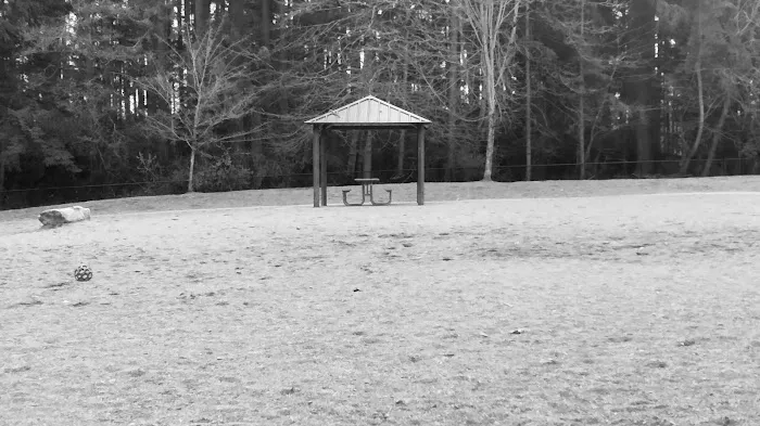 Robinswood Off-Leash Area 7