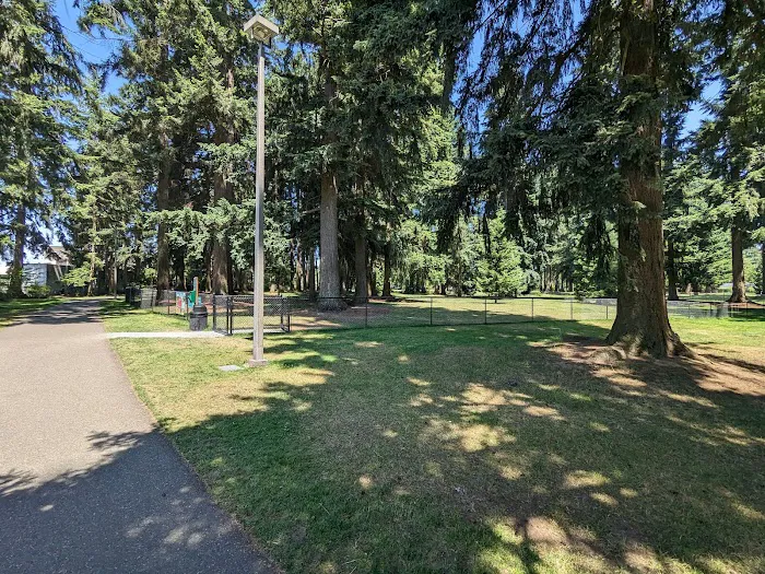 Crossroads Pop-up Dog Park 5