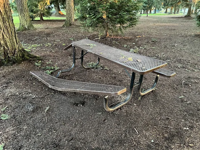Crossroads Pop-up Dog Park 1