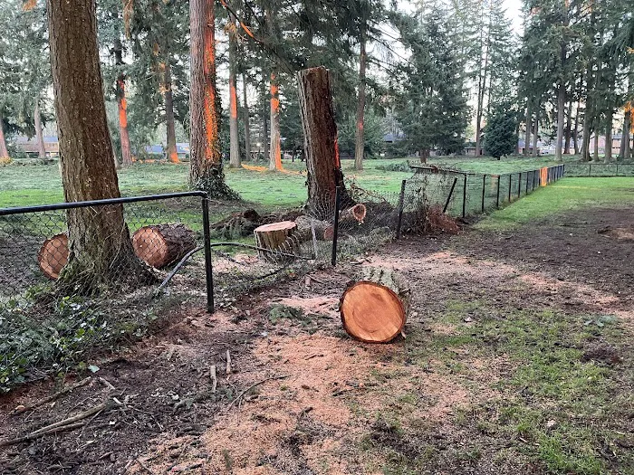 Crossroads Pop-up Dog Park 2
