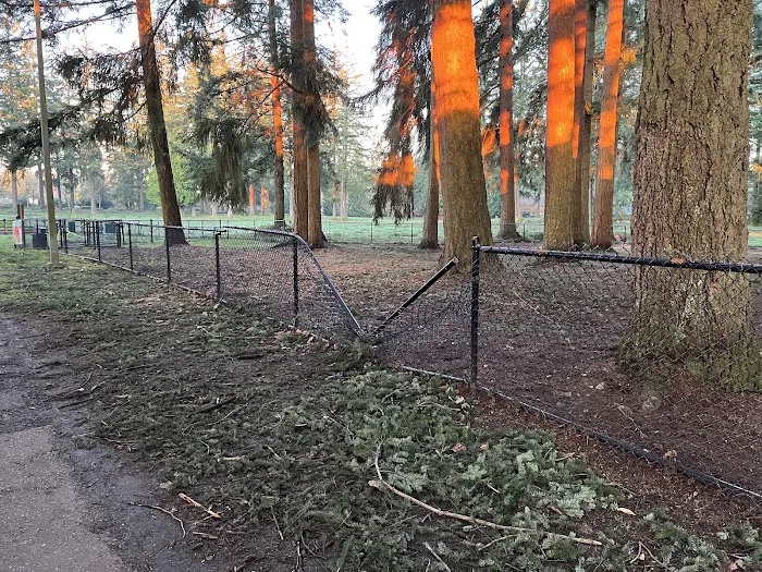 Crossroads Pop-up Dog Park 6