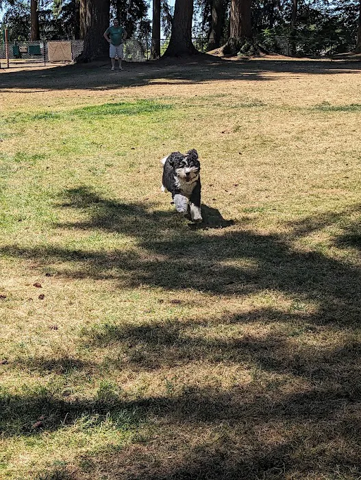 Crossroads Pop-up Dog Park 8