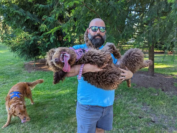 Crossroads Pop-up Dog Park 9