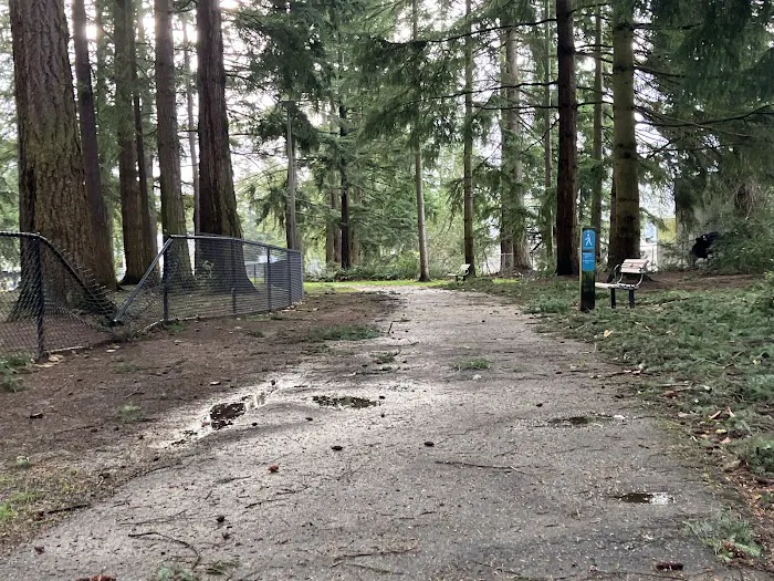 Crossroads Pop-up Dog Park 10