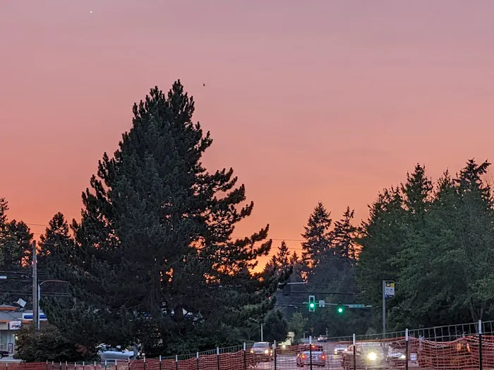 Snyder's Corner Park 4