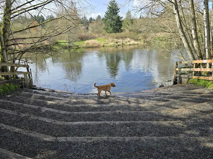 Marymoor Off-Leash Dog Park 6