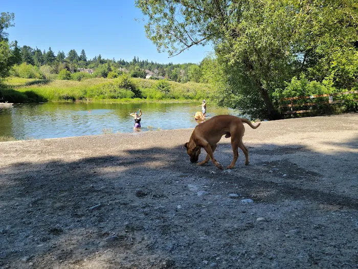 Marymoor Off-Leash Dog Park 2