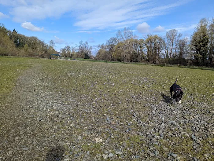 Cedar River Dog Park 6