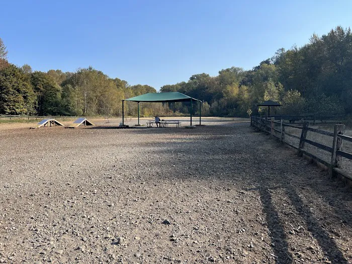 Cedar River Dog Park 3