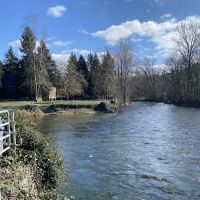 Cedar River Dog Park ico