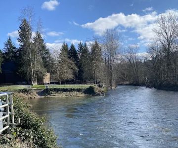 Cedar River Dog Park