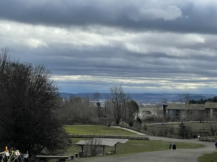 Grandview Off-Leash Dog Park 2