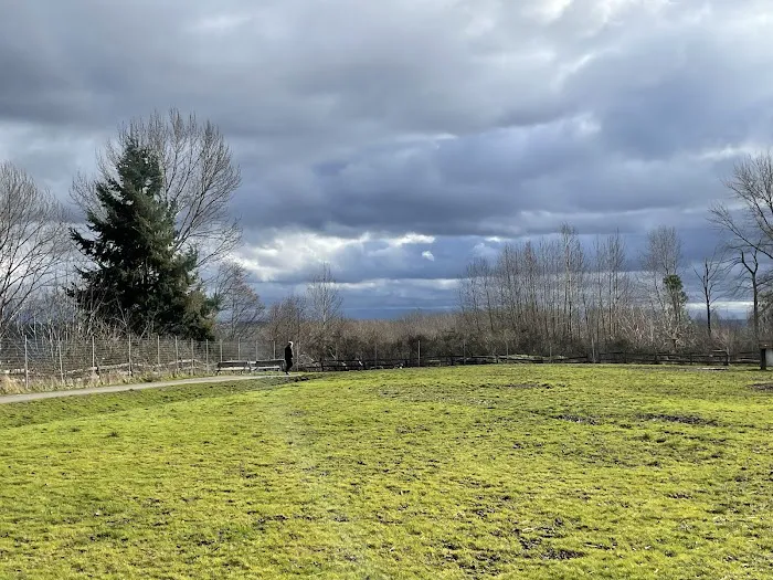 Grandview Off-Leash Dog Park 1