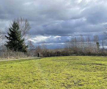Grandview Off-Leash Dog Park