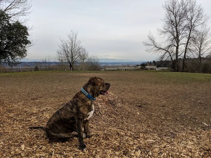 Grandview Off-Leash Dog Park 10
