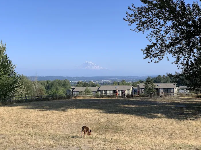 Grandview Off-Leash Dog Park 5