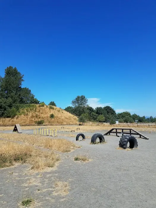 Grandview Off-Leash Dog Park 9