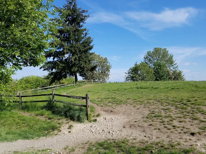 Grandview Off-Leash Dog Park 8