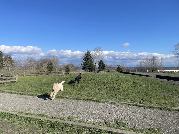 Grandview Off-Leash Dog Park 6