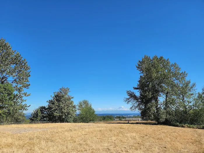 Grandview Off-Leash Dog Park 4