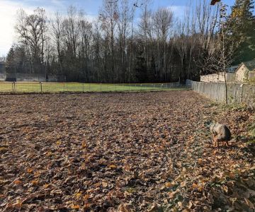 Juanita bay dog park