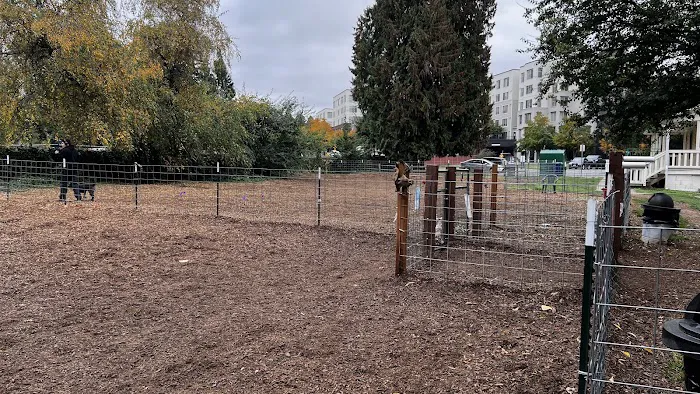 Juanita bay dog park 4