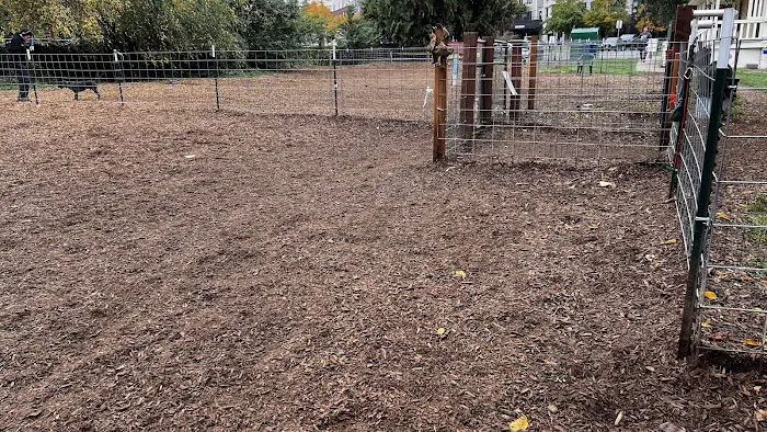 Juanita bay dog park 5