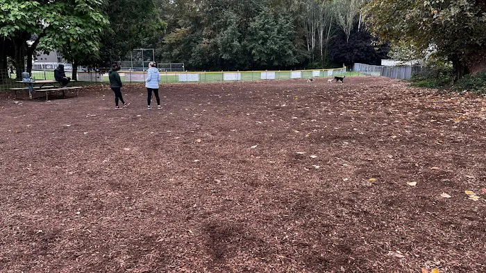 Juanita bay dog park 2