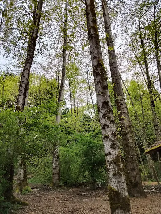 Jasper's Dog Park 4