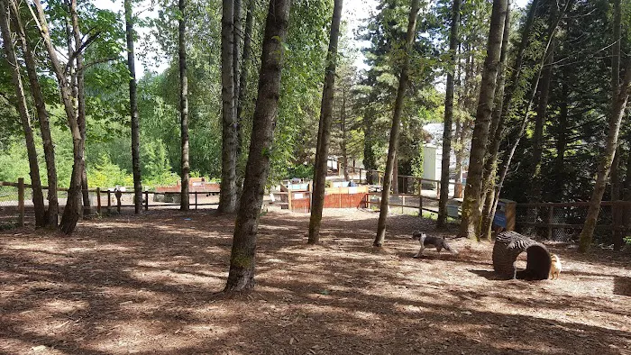 Jasper's Dog Park 1