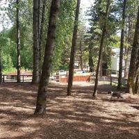 Jasper's Dog Park ico