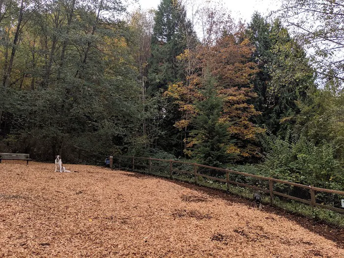 Jasper's Dog Park 3