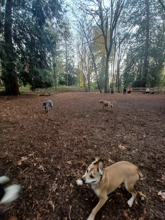 Edith Moulton Off Leash Area 3