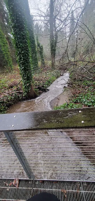 Edith Moulton Off Leash Area 1