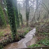 Edith Moulton Off Leash Area ico