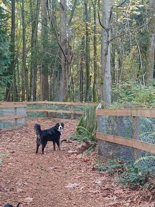 Edith Moulton Off Leash Area 4