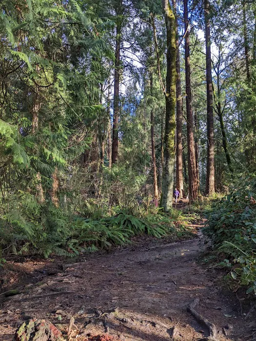 Edith Moulton Off Leash Area 2