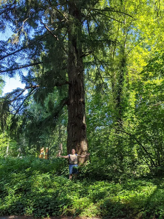 Edith Moulton Off Leash Area 8