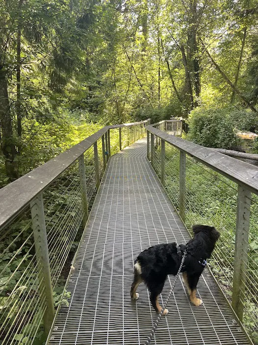 Edith Moulton Off Leash Area 7
