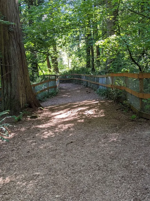 Edith Moulton Off Leash Area 9