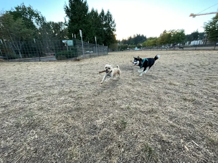 Bothell Pop-up Dog Park 2