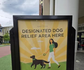 Dog relief area