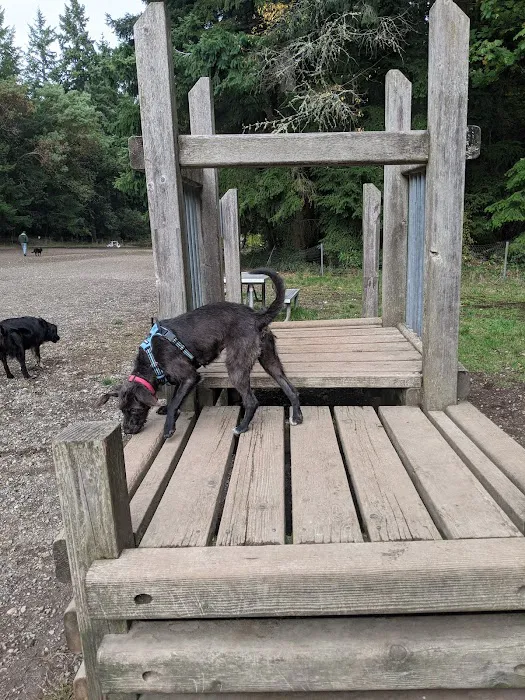 Shoreview Park Off Leash Area Dog Park 7