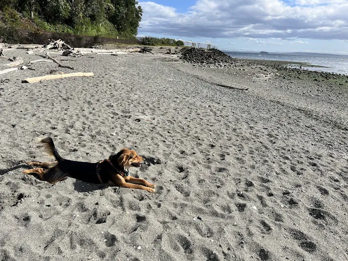 Off Leash Area Edmonds 6