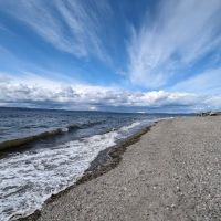 Off Leash Area Edmonds ico