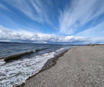 Off Leash Area Edmonds