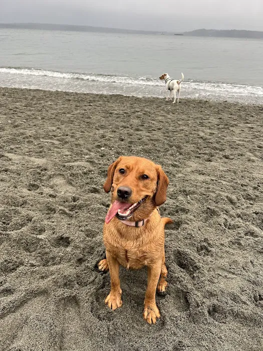 Off Leash Area Edmonds 10
