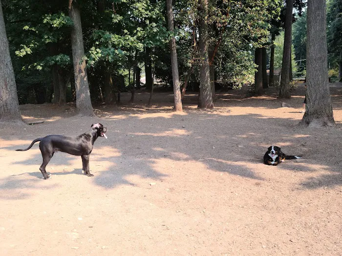Mountlake Terrace Off-Leash Dog Park 2