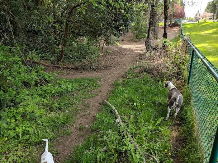 Mountlake Terrace Off-Leash Dog Park 3
