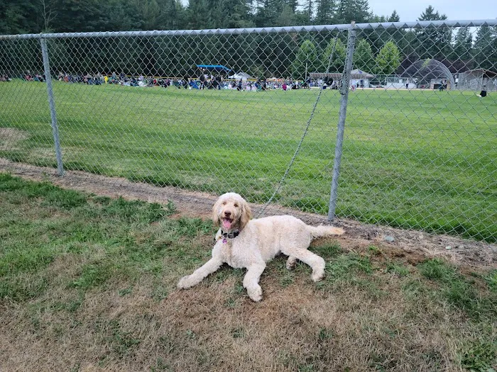 Beaver Lake Off-Leash Dog Park 6